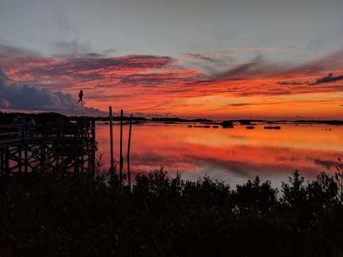 A vibrant sunset over calm waters, reflecting shades of orange and pink, with silhouettes of a dock and mangroves.