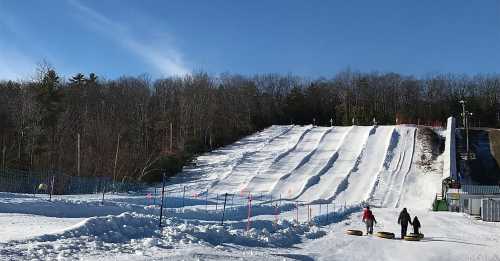 Two people walk up a snowy hill with inflatable tubes, surrounded by trees and a clear blue sky.