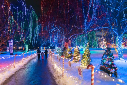 A snowy path lined with colorful holiday lights and decorated trees, with people walking together in the festive scene.
