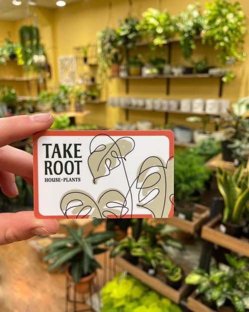 A hand holds a "Take Root House-Plants" business card in a vibrant plant shop filled with greenery.