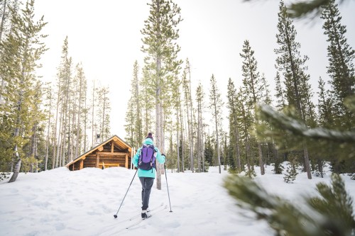 A person skiing through snow towards a cozy cabin surrounded by tall pine trees.
