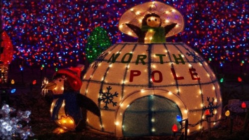 A festive igloo with "North Pole" sign, decorated with colorful lights and featuring a penguin and snowman on top.