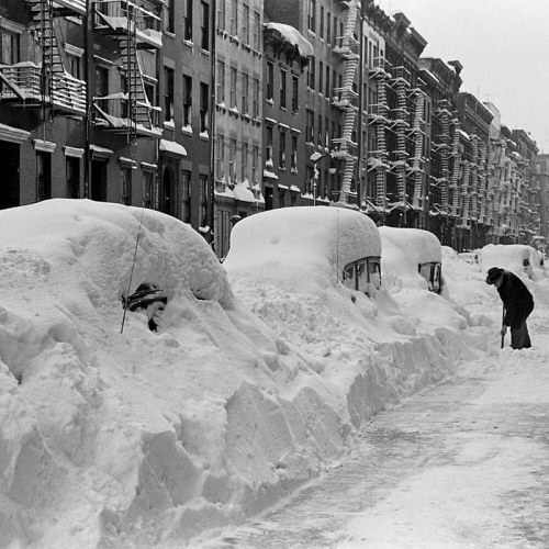 A snowy street scene with cars buried in snow and a person shoveling snow in a historic urban neighborhood.