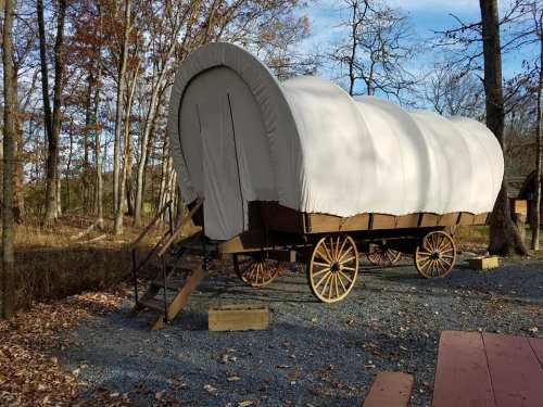 A covered wagon on wheels, set in a wooded area with autumn leaves and a clear blue sky.