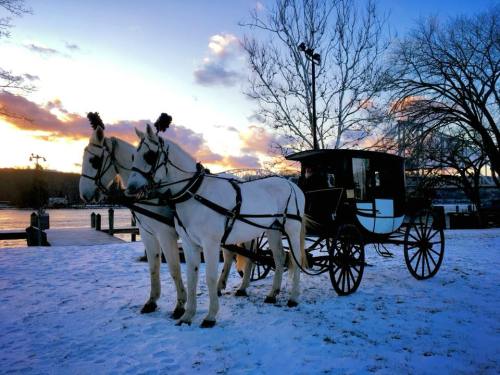 Two white horses in harness stand beside a carriage on snow, with a colorful sunset and trees in the background.