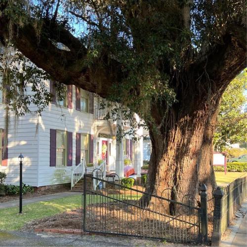 A large tree stands in front of a white house with purple shutters, surrounded by a black fence and green grass.