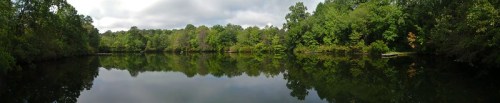 A serene lake surrounded by lush green trees, reflecting the sky and foliage on its calm surface.