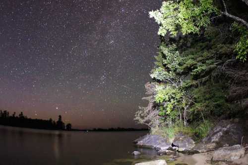 A serene lakeside scene at night, featuring a starry sky and trees reflecting in the calm water.