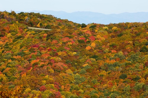 Vibrant autumn foliage covers rolling hills, showcasing a mix of red, orange, and green leaves under a clear sky.