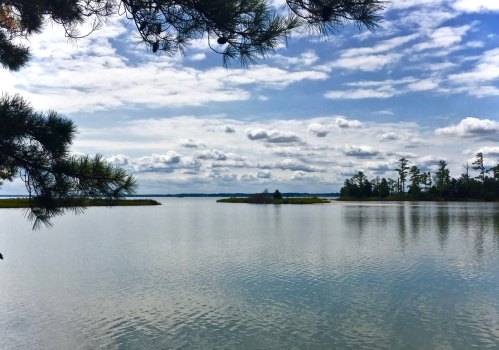 A serene lake scene with calm waters, surrounded by trees and a cloudy sky.