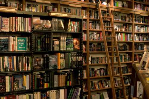 A cozy bookstore with shelves filled with books and a wooden ladder for reaching higher shelves.