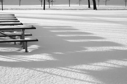 A snowy landscape with picnic tables casting long shadows under bare trees. Black and white photography.