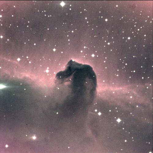 A cosmic scene featuring the Horsehead Nebula, surrounded by stars and colorful gas clouds in deep space.