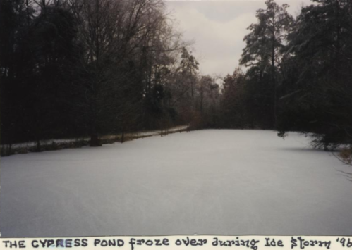 Frozen pond surrounded by trees, with a caption noting it froze during the Ice Storm of '96.