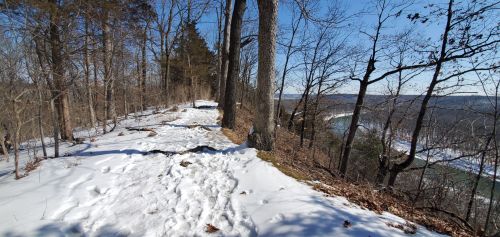 A snowy trail winds through trees, overlooking a river in a clear blue sky.