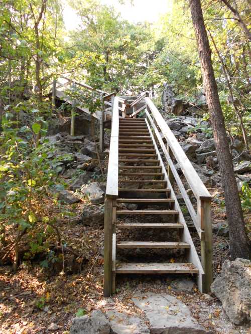 Wooden stairs lead up through a rocky, wooded area, surrounded by trees and greenery.