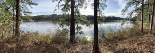 Panoramic view of a calm lake surrounded by trees and lush vegetation under a clear sky.