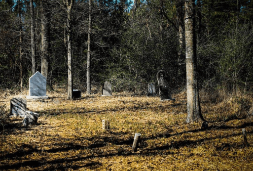 A quiet, wooded cemetery with several gravestones surrounded by trees and fallen leaves.