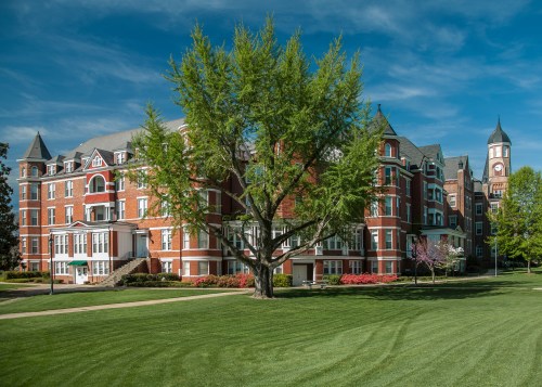 Historic brick building with a large tree in front, set against a clear blue sky and green lawn.