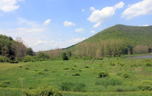Lush green landscape with rolling hills under a blue sky dotted with clouds. Trees line the horizon near a calm water body.