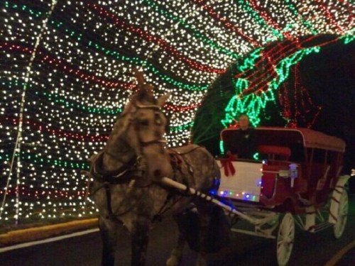 A horse-drawn carriage decorated with festive lights travels through a tunnel of colorful holiday lights.