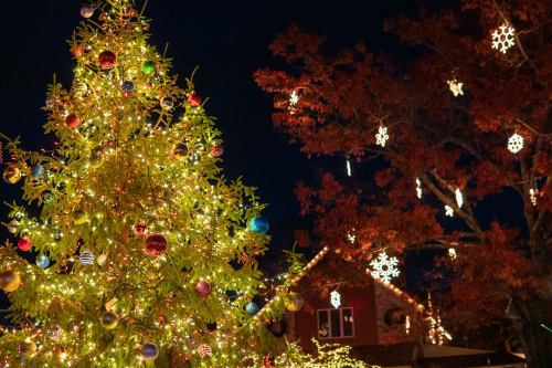 A brightly lit Christmas tree adorned with colorful ornaments, surrounded by festive decorations and snowflake lights.