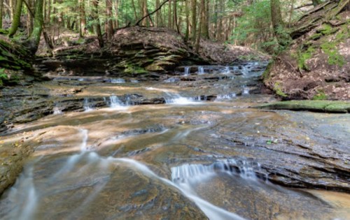 A serene forest stream flows over smooth rocks, surrounded by lush greenery and trees.