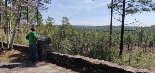 A person in a green shirt stands on a stone overlook, gazing at a vast forested landscape under a clear blue sky.