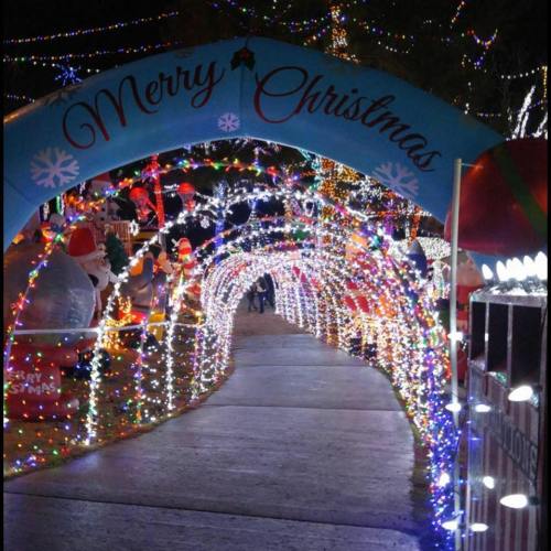 A festive archway reading "Merry Christmas" adorned with colorful lights, leading through a decorated pathway.