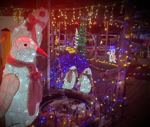 A festive display featuring illuminated penguins and colorful holiday lights in a winter setting.
