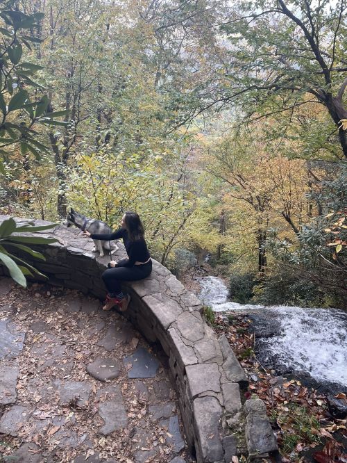 A person sits on a stone wall beside a waterfall, surrounded by autumn foliage and a small dog.