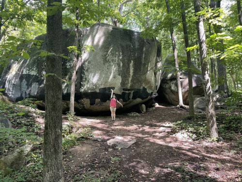 A person in a red shirt stands near a large boulder surrounded by trees in a lush forest.