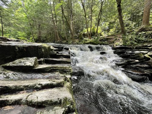 A serene waterfall cascades over rocky steps, surrounded by lush green trees in a tranquil forest setting.