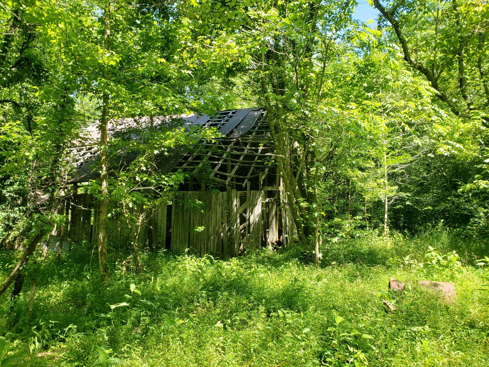 Abandoned Homestead, Gateway Arkansas, Rustic, Farmhouse, Colorful, fashion Rogers, Northwest Arkansas, Pea Ridge