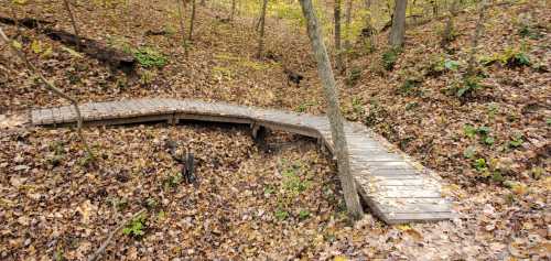 A wooden bridge curves over a leaf-covered forest floor, surrounded by trees in autumn foliage.