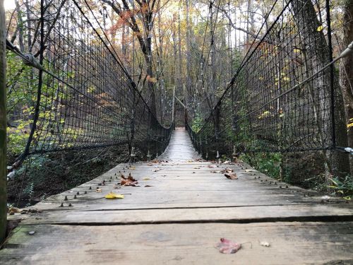 A wooden suspension bridge stretches into a forest, surrounded by autumn foliage and fallen leaves.