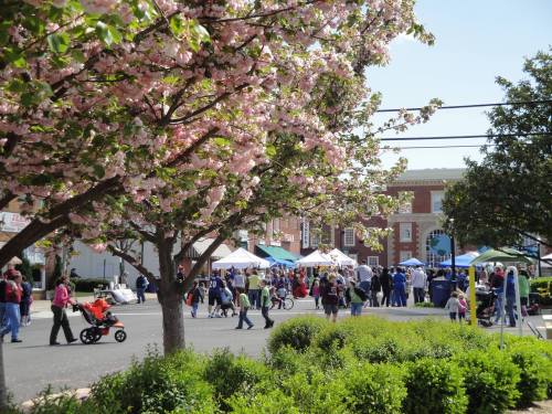 A bustling outdoor market scene with pink flowering trees and people browsing stalls under sunny skies.