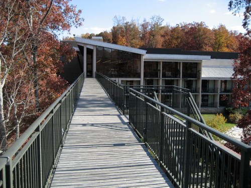 A wooden walkway leads to a modern building surrounded by autumn trees with colorful leaves.