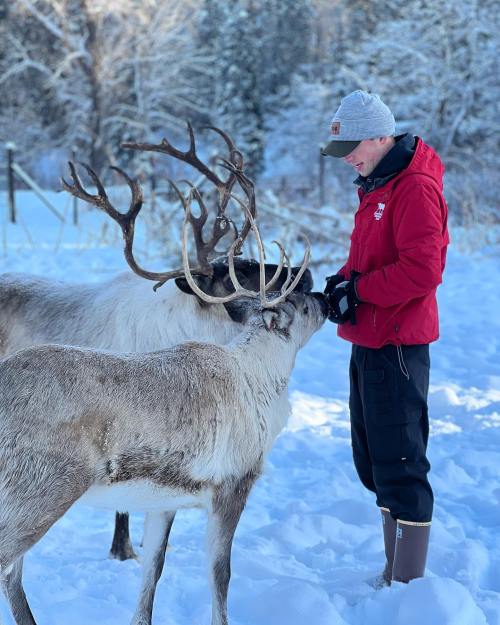 A person in a red jacket interacts with two reindeer in a snowy landscape. Trees are visible in the background.
