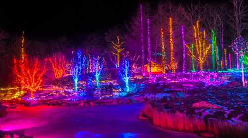 Colorful trees illuminated with vibrant lights in a winter landscape at night, reflecting on a frozen pond.