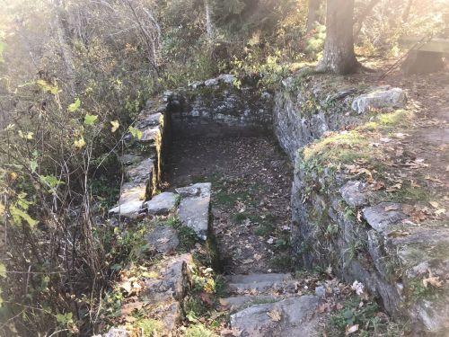 An overgrown stone structure surrounded by trees and foliage, with steps leading down into a grassy area.