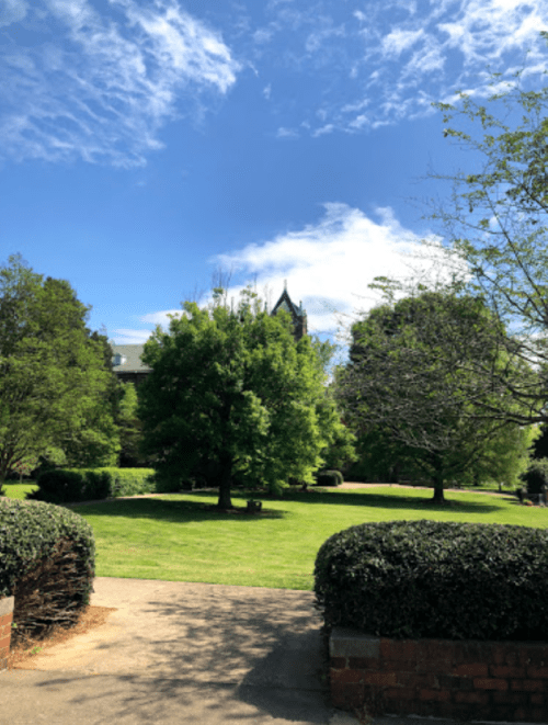 A sunny park scene with green trees and a blue sky, featuring a distant building partially obscured by foliage.