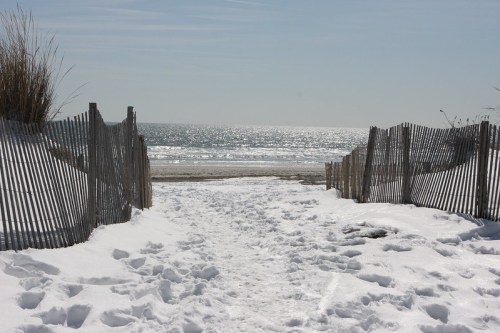 A snowy path leads to a beach, framed by wooden fences and sparkling water in the distance under a clear sky.
