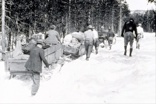 A group of people pulling sleds through deep snow in a forested area, surrounded by tall trees.
