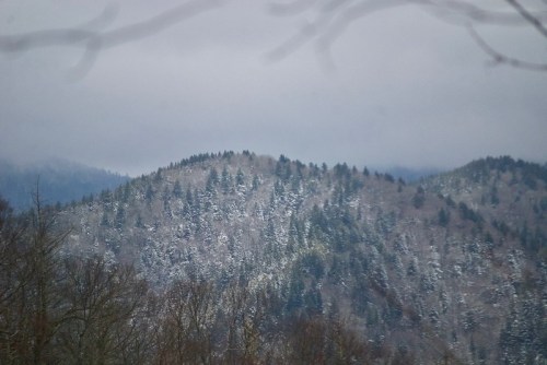 Snow-covered mountains under a cloudy sky, with trees dotting the slopes and a misty atmosphere.