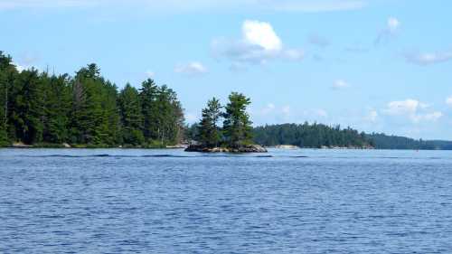 A serene lake scene featuring a small island with trees, surrounded by calm water and a clear blue sky.