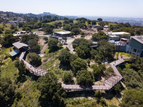 Aerial view of a winding wooden path through greenery, with buildings and hills in the background.