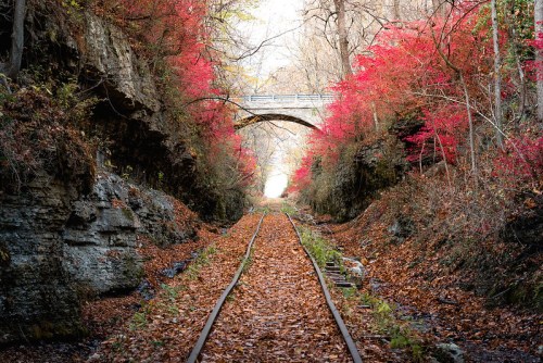 A serene railway track surrounded by vibrant autumn foliage and a stone bridge in the distance.