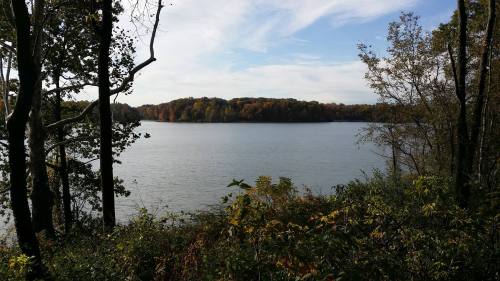 A serene lake surrounded by trees, with autumn foliage reflecting on the water under a clear blue sky.