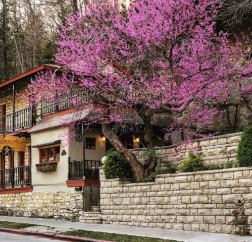 A charming building with a stone facade, surrounded by vibrant pink flowering trees in a serene setting.